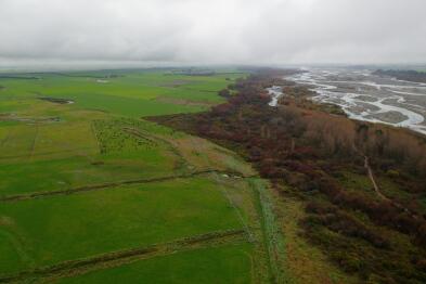 Aerial photograph of flat paddocks with cows grazing beside a wide strip of trees and plantings on the side of the Rangitata River