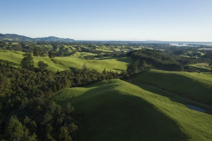 Sheep and beef farm looking towards Tauranga Harbour