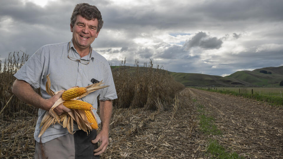 Efficient farming for future sustainability