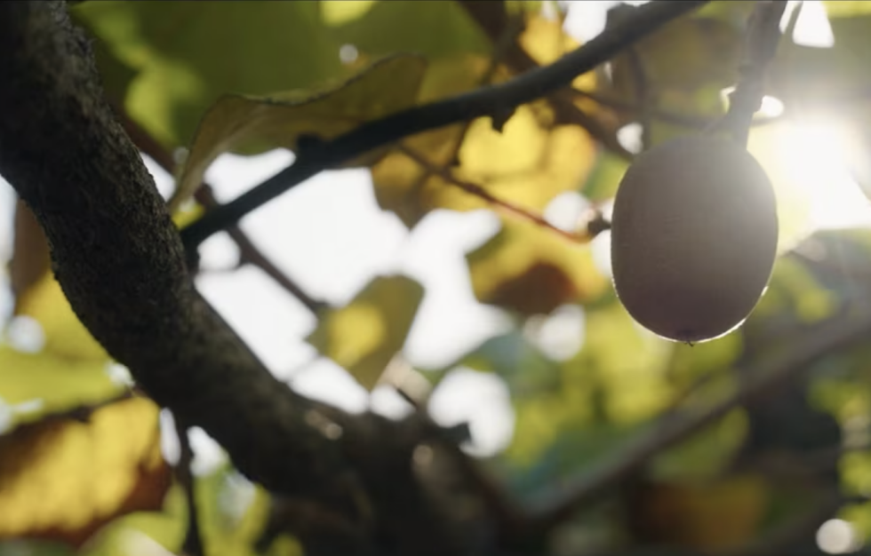 Screenshot 2025 05 29 at 2 v2.43.20PM