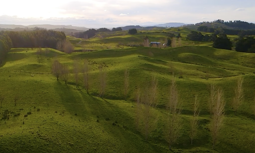 Screenshot 2025 06 05 at 10.47.17AM