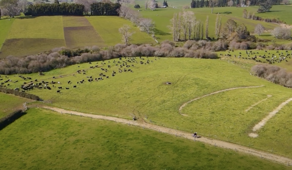 Screenshot 2025 06 05 at 10.54.31AM