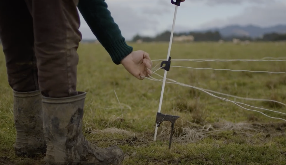 Screenshot 2025 06 05 at 9.31.16AM