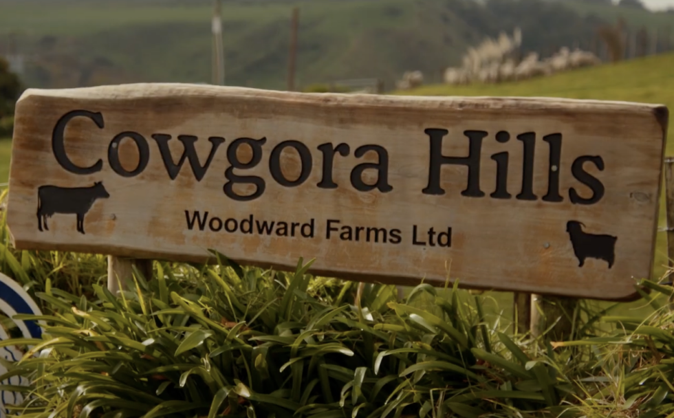 Screenshot 2025 06 11 at 10.14.29AM