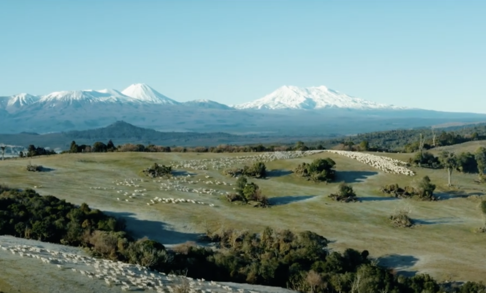 Screenshot 2025 06 11 at 10.54.25AM