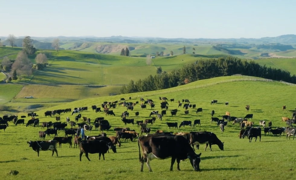 Screenshot 2025 06 11 at 9.59.03AM