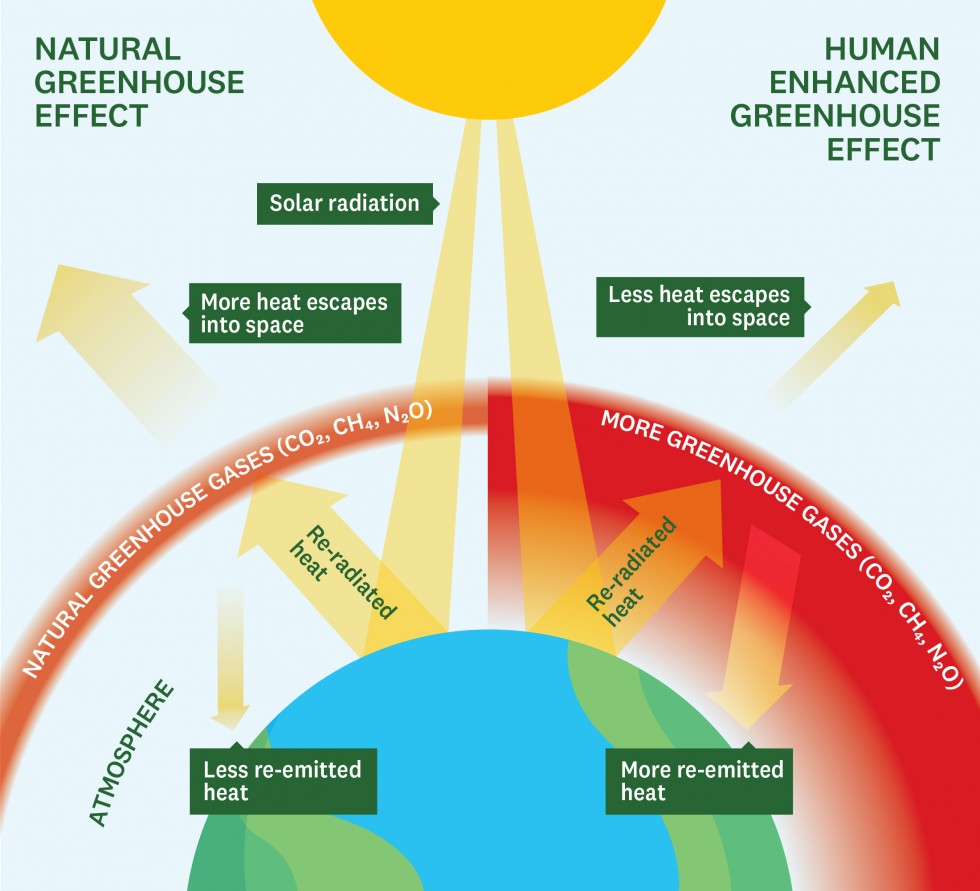 The greenhouse effect explained as an infographic.