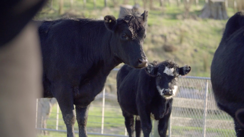 Why Does Methane Matter poster frame