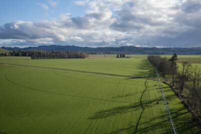 Aerial image of farm with cropped paddock, irrigator and shelfterbelt