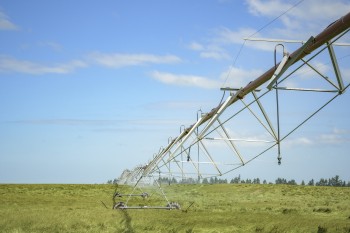 Irrigator, Canterbury.